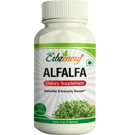 ALFALFA Capsule ALFALFA Capsule