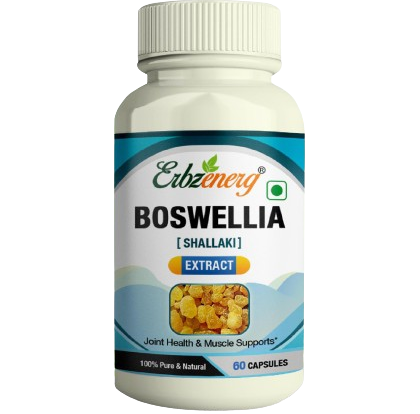 BOSWELLIA Capsule BOSWELLIA Capsule
