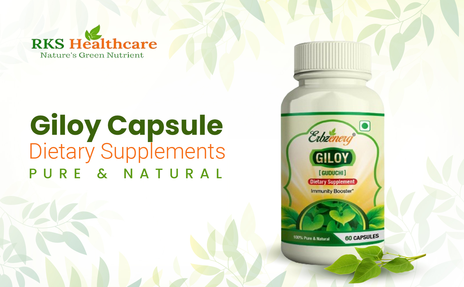 GILOY-Capsule