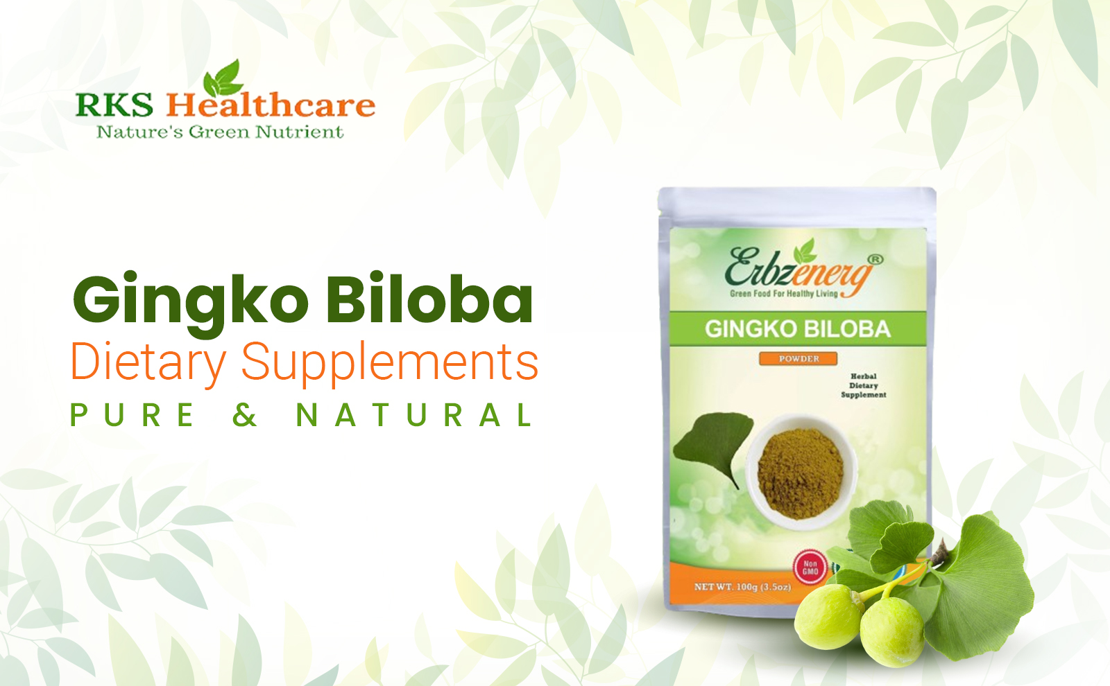GINGKO_BILOBA_POWDER-img-for-powder-section