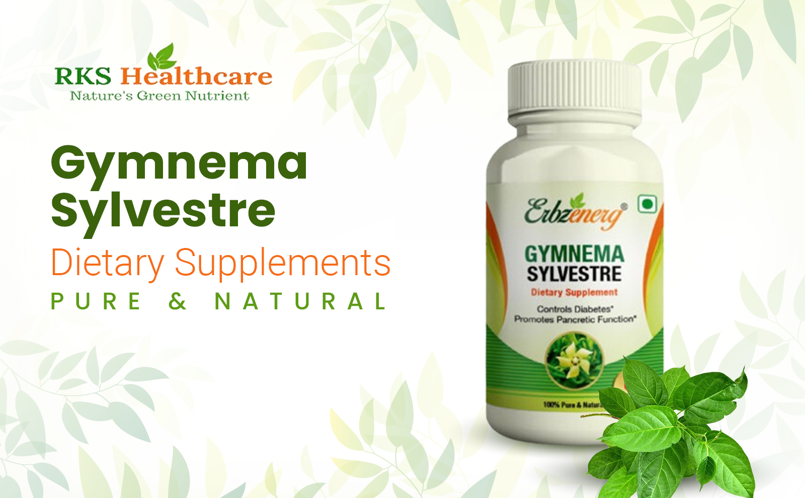 GYMNEMA_SYLVESTRE-for-tablet-section