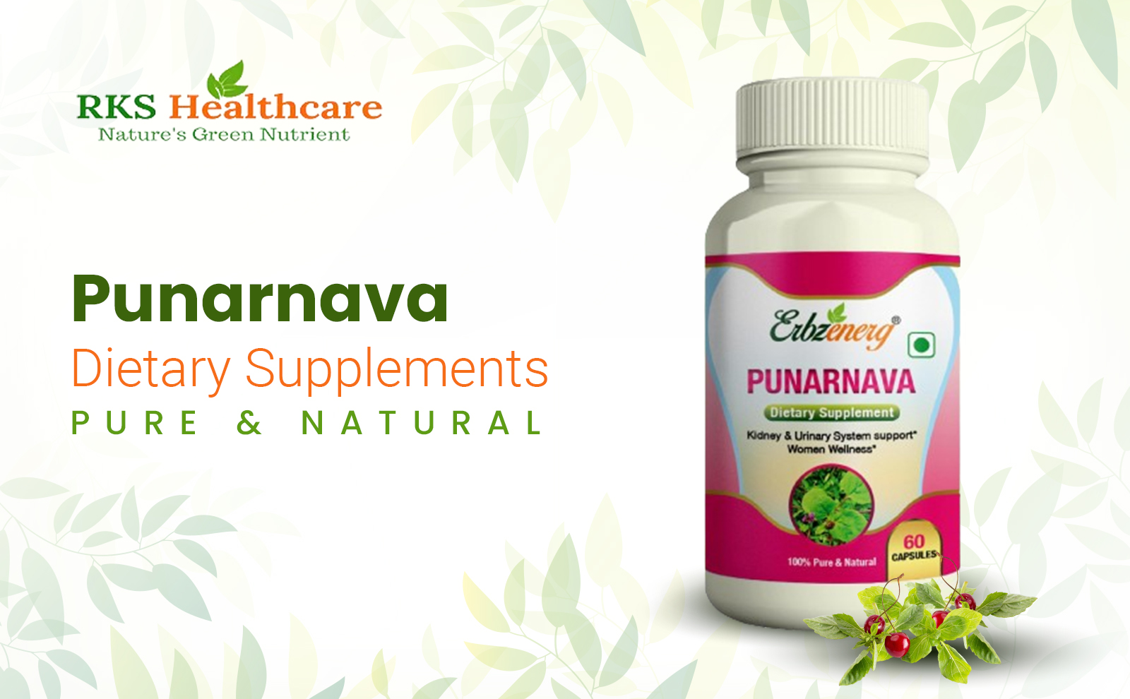 PUNARNAVA-Capsule