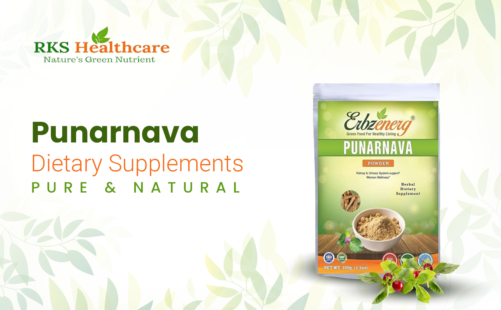 PUNARNAVA_POWDER-img-for-powder-section