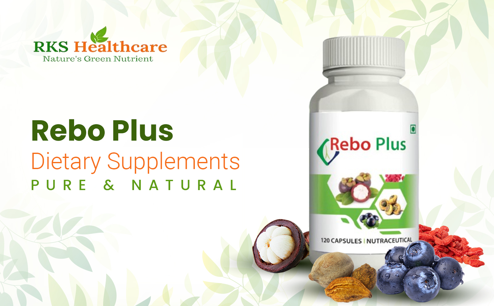 REBO_PLUS-Capsule