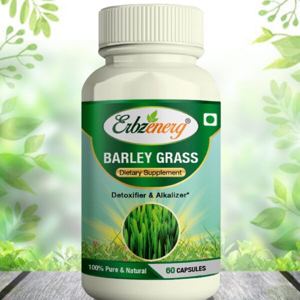BARLEY-GRASS-scaled-1.jpg