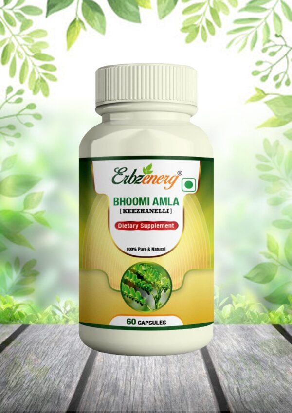 BHOOMI AMLA CAPSULE