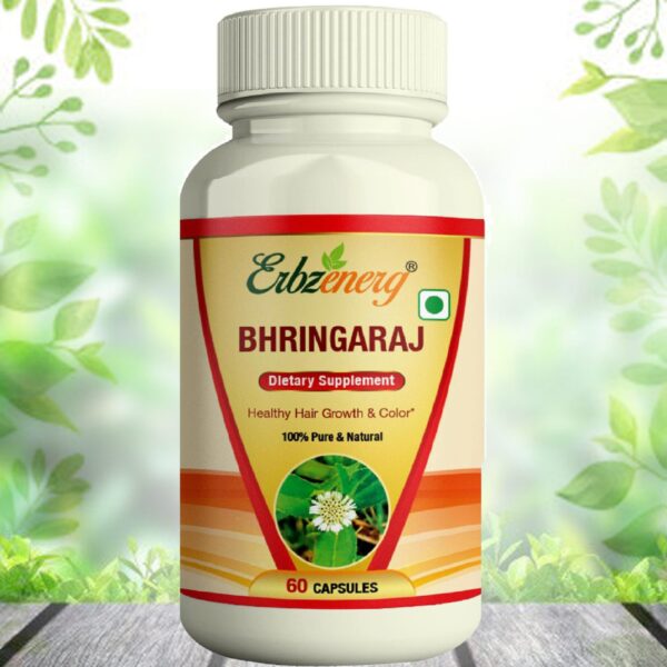 BHRINGARAJ-scaled-1.jpg