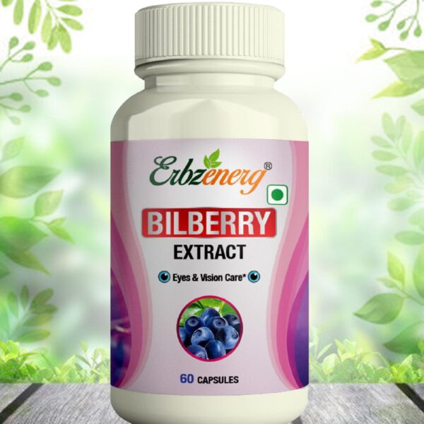 BILBERRY-scaled-1.jpg
