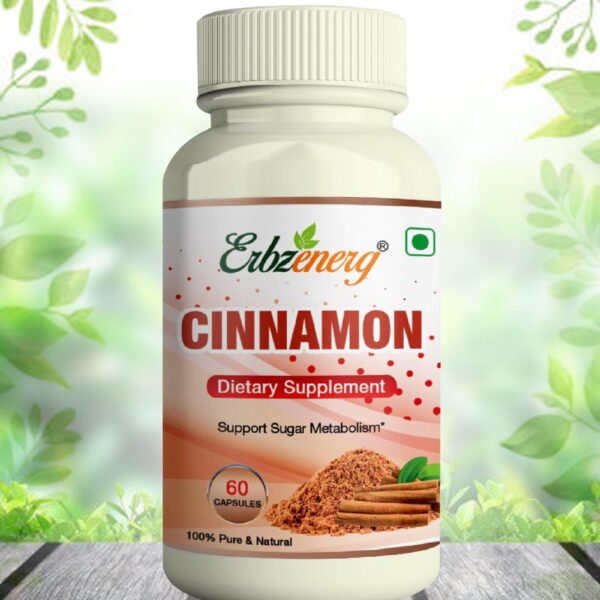 CINNAMON-scaled-1.jpg