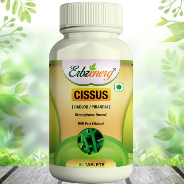 CISSUS-TABLET-scaled-1.jpg