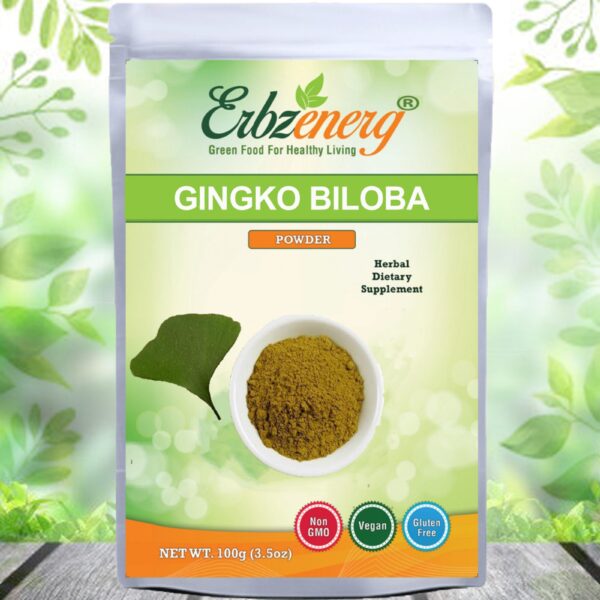 GINGKO-BILOBA-POWDER-scaled-1.jpg