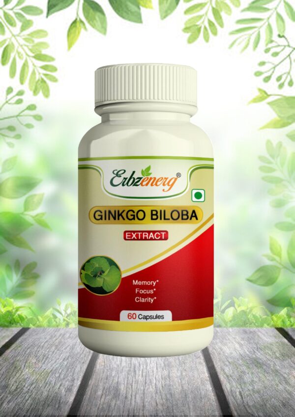 GINKGO BILOBA CAPSULE
