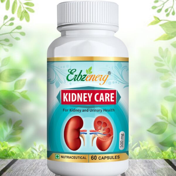KIDNEY-CARE-copy-scaled-1.jpg