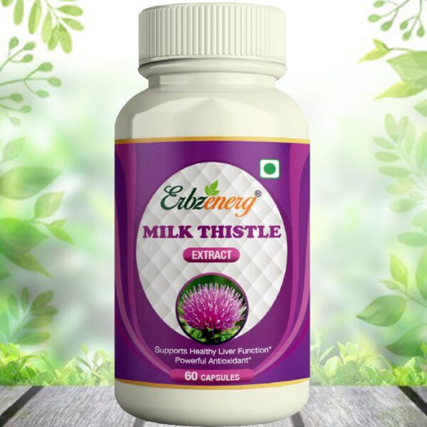 MILK-THISTLE-changed-scaled-1.jpg