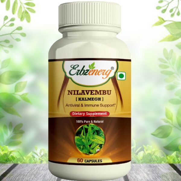 NILAVEMBU-changed-scaled-1.jpg