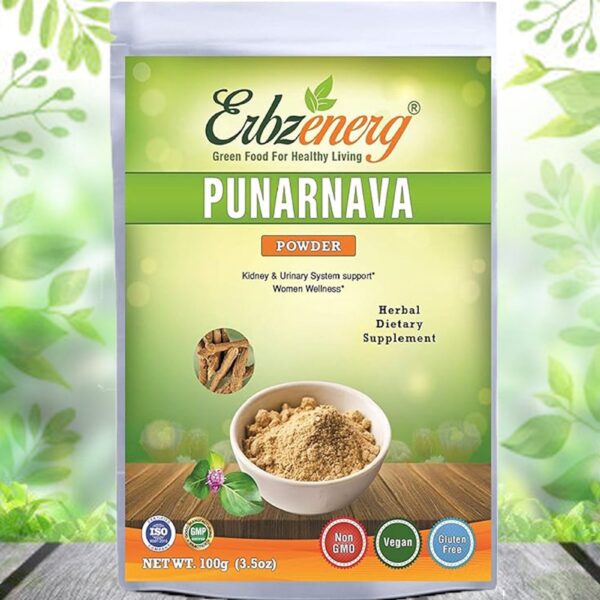 PUNARNAVA-POWDER-scaled-1.jpg