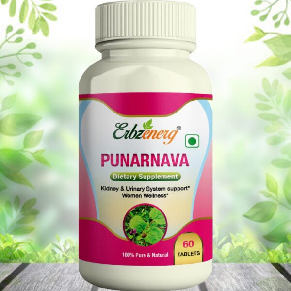 PUNARNAVA-TABLET-scaled-1.jpg
