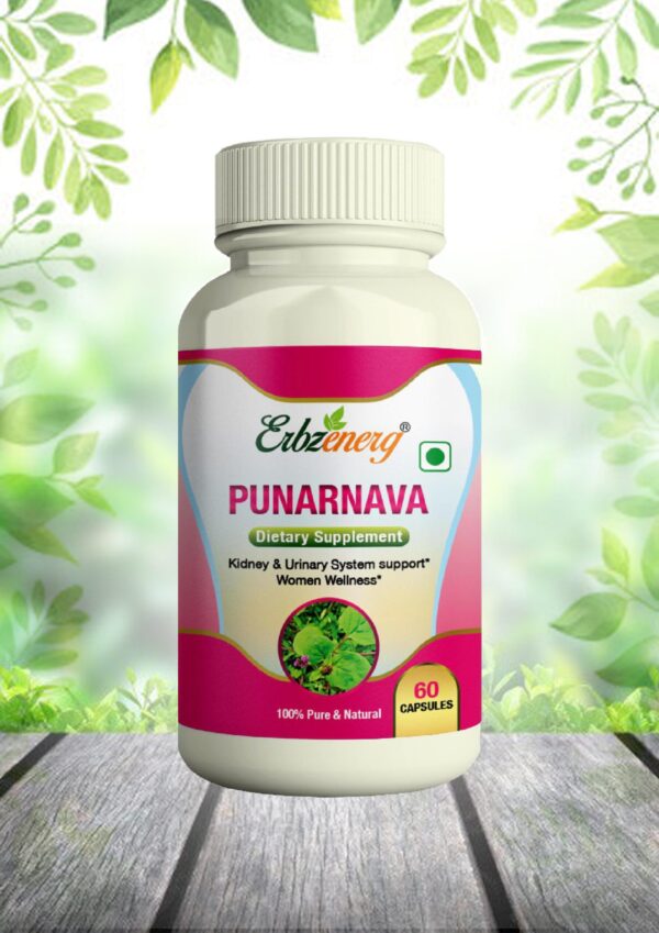 PUNARNAVA CAPSULE