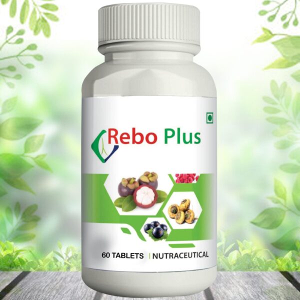 REBO-PLUS-TABLET-scaled-1.jpg