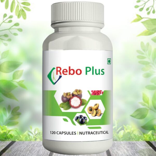 REBO-PLUS-scaled-1.jpg