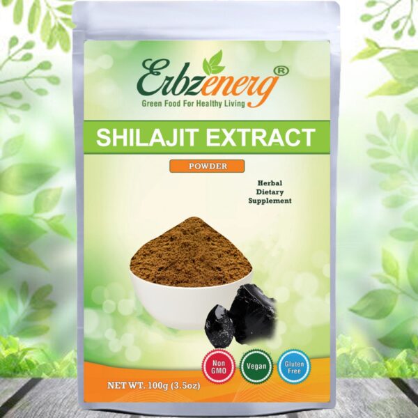 SHILAJIT-EXTRACT-POWDER-scaled-1.jpg