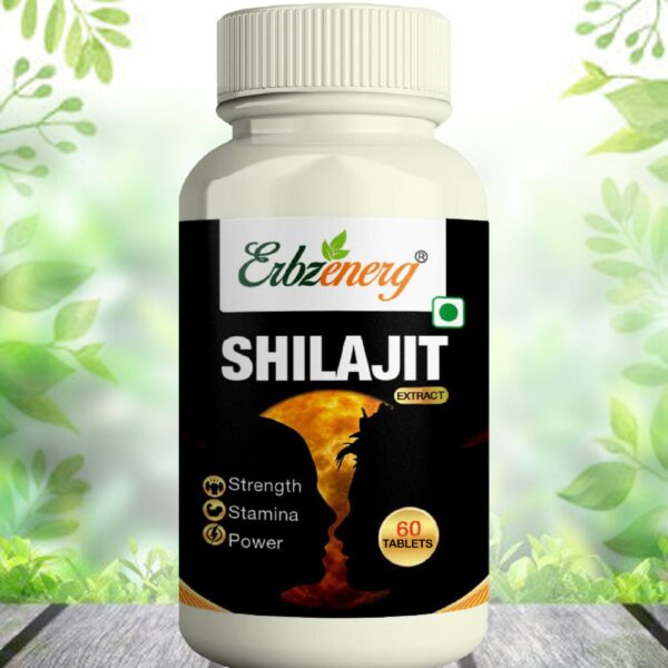 SHILAJIT-TABLET-scaled-1.jpg