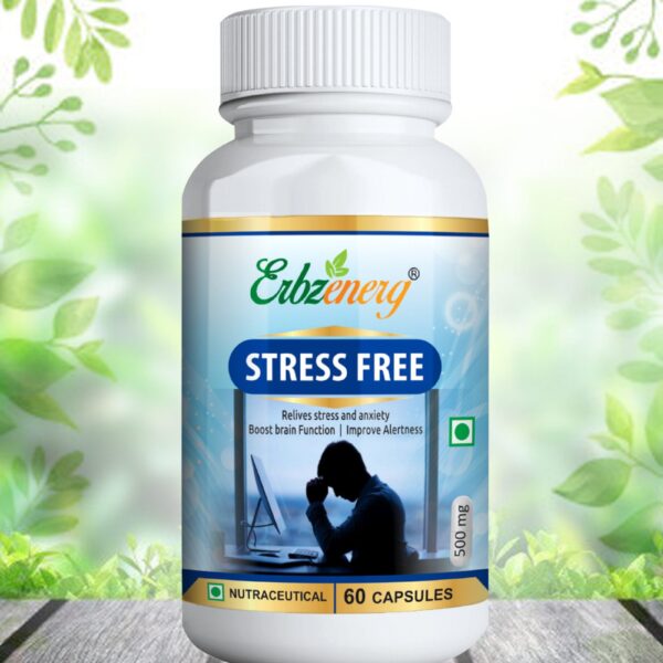 STRESS-FREE-copy-scaled-1.jpg