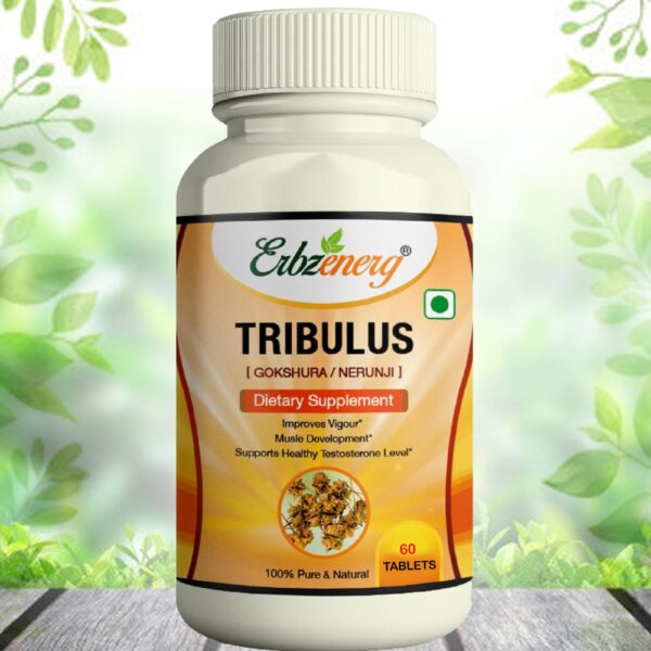 TRIBULUS-TABLET-scaled-1.jpg
