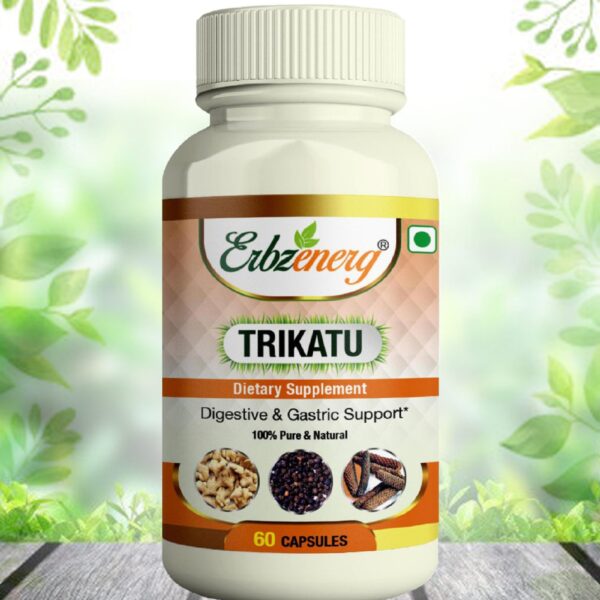 TRIKATU-need-to-change-scaled-1.jpg