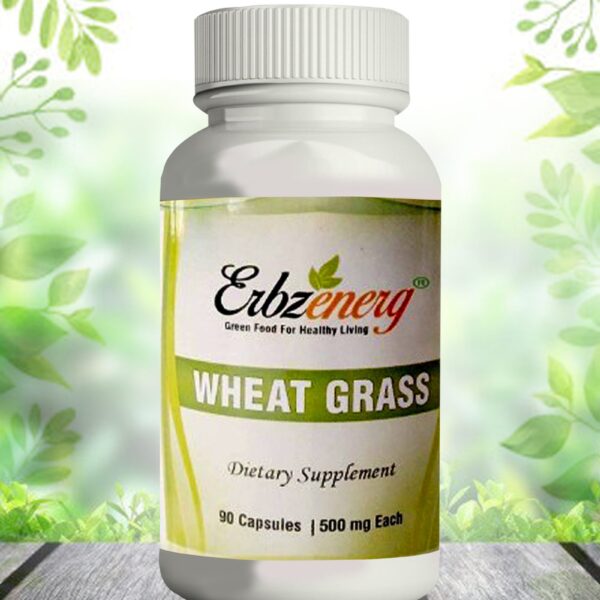 WHEAT-GRASS-copy-scaled-1.jpg